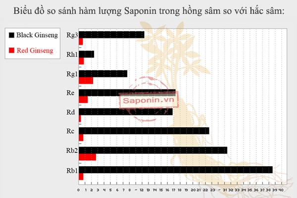 hắc sâm Hàn Quốc là loại sâm có hàm lượng Saponin cao nhất