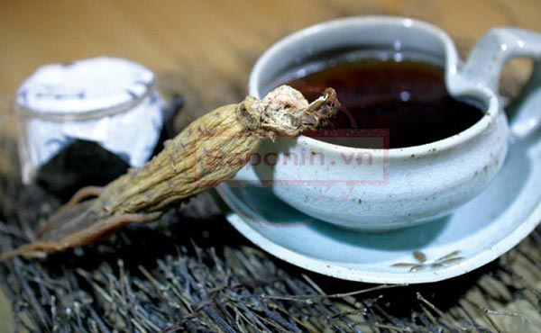 Tác dụng của trà Hồng sâm Hàn Quốc