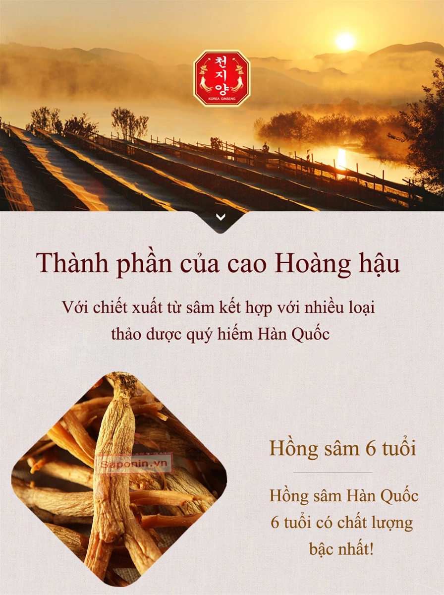 cao hồng sâm hoàng hậu hàn quốc