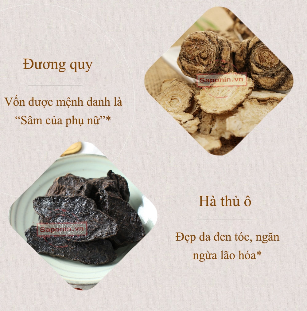 cao hồng sâm dạng hũ