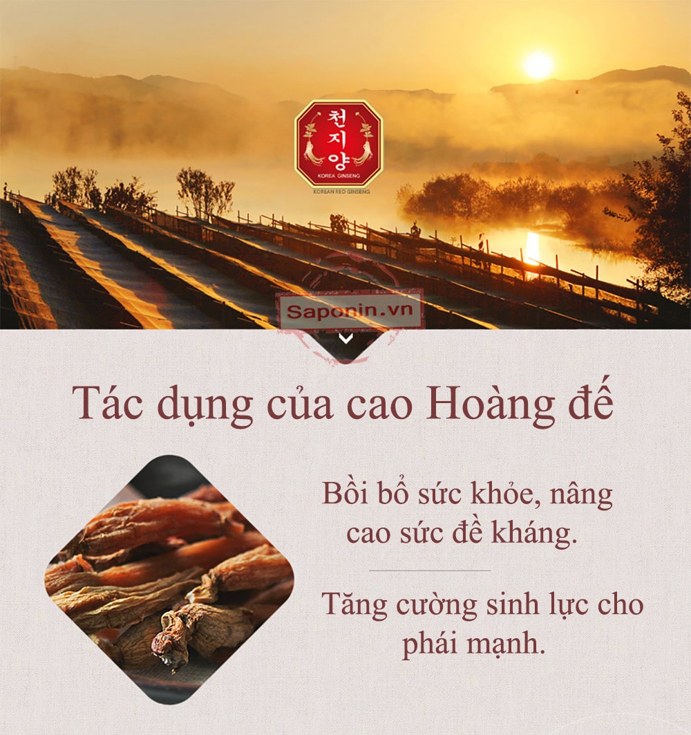 công dụng của cao sâm hoàng đế