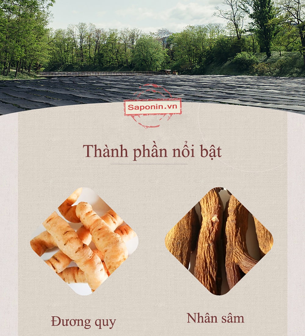 bán cao hồng sâm hoàng đế