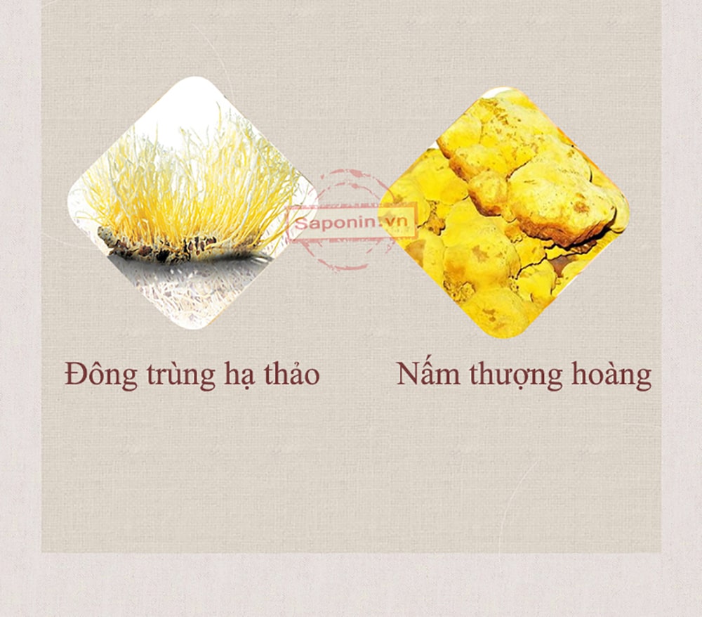 cao hồng sâm hàn quốc cao cấp