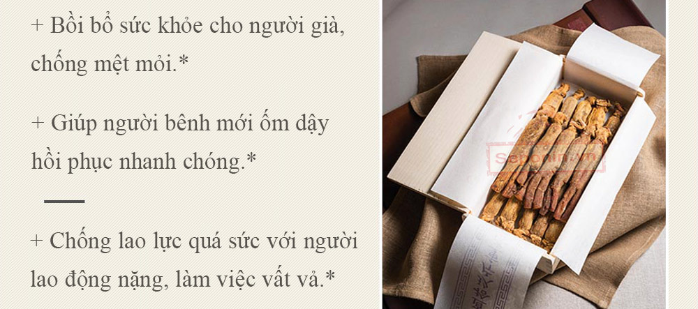 Công dụng của hồng sâm khô