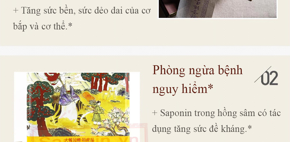 Công dụng của sâm khô Hàn Quốc