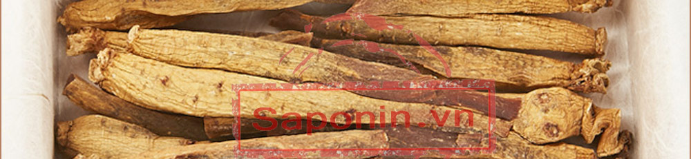 Giá hồng sâm khô