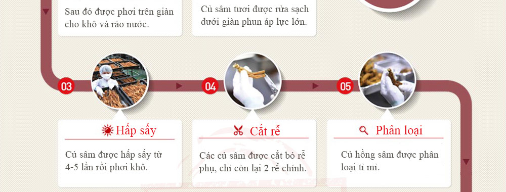 sâm củ khô hộp thiếc