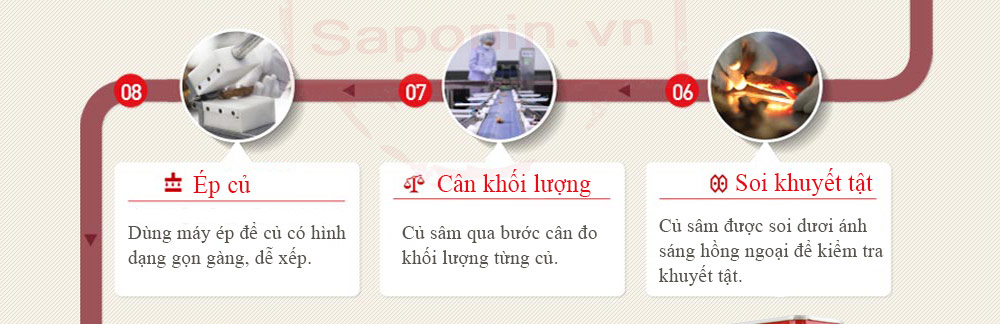 Sâm khô hộp sắt