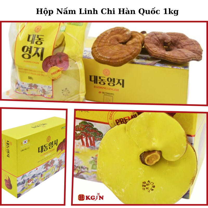 Nấm linh chi tự nhiên