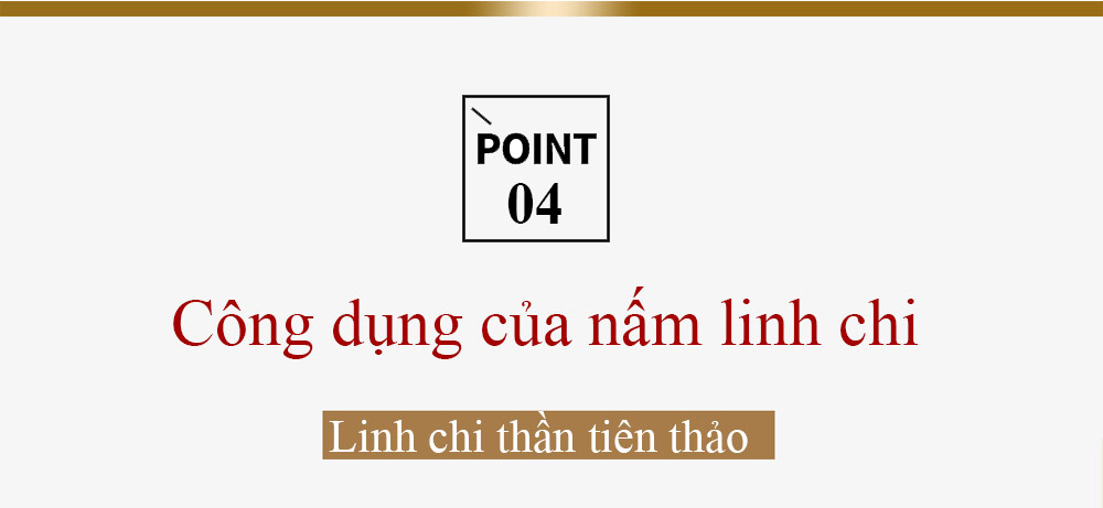 Công dụng của nấm linh chi đỏ Hàn Quốc