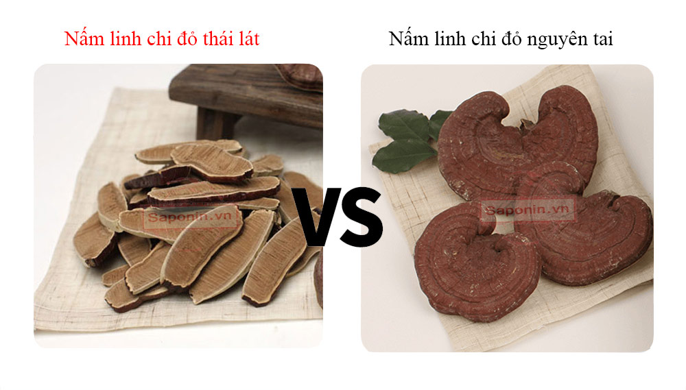 Hình ảnh về nấm linh chi đỏ thái lát