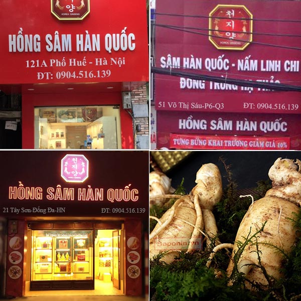 Địa chỉ bán nhân sâm tươi Hàn Quốc uy tín
