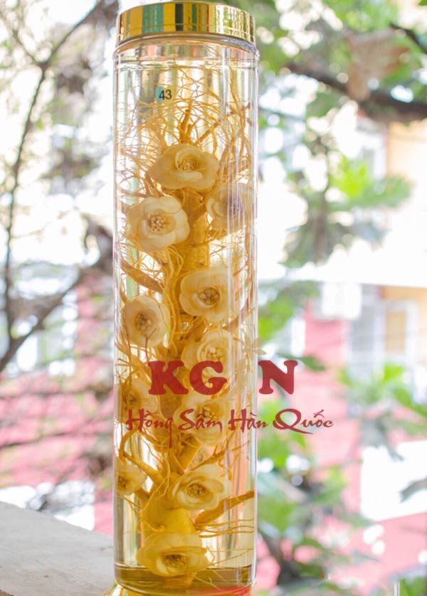 Bán rượu nhân sâm Hàn Quốc