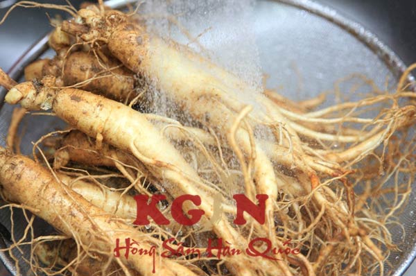 Hướng dẫn ngâm rượu nhân sâm tươi Hàn Quốc