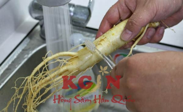 Cách rửa nhân sâm tươi Hàn Quốc