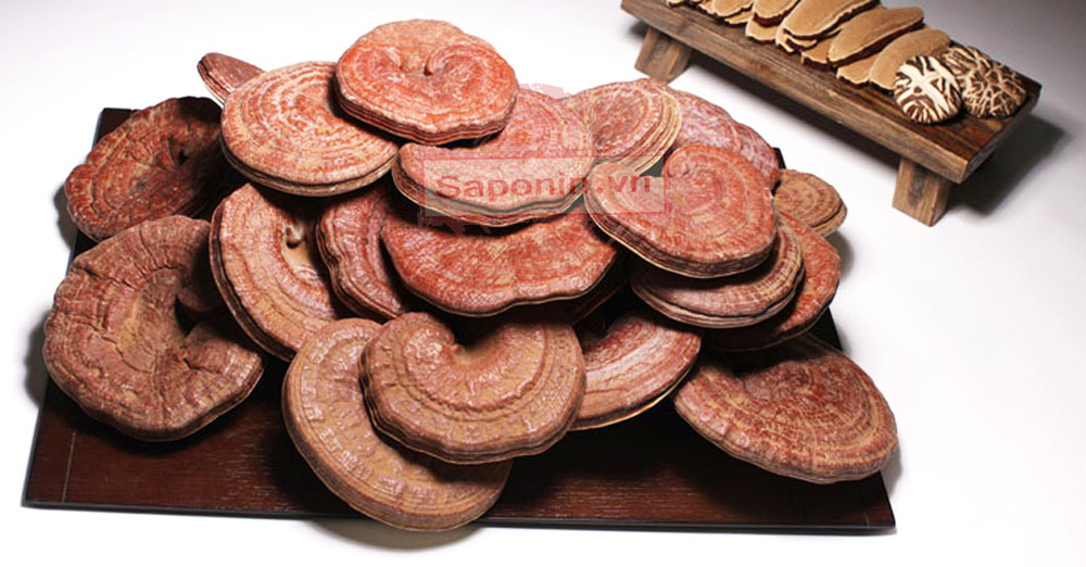 Cửa hàng bán nấm linh chi Hàn Quốc chuẩn