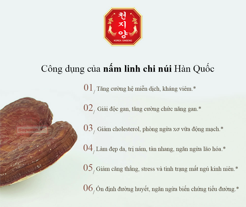 Công dụng của nấm linh chi Hàn Quốc